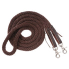 JT International Reins