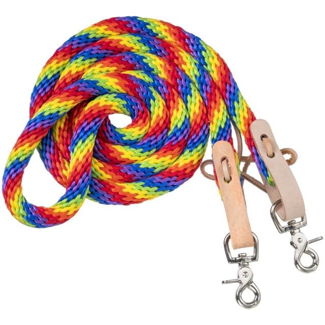 JT International Reins