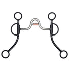 Shiloh Bits