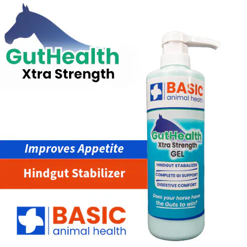 Basic Animal Health