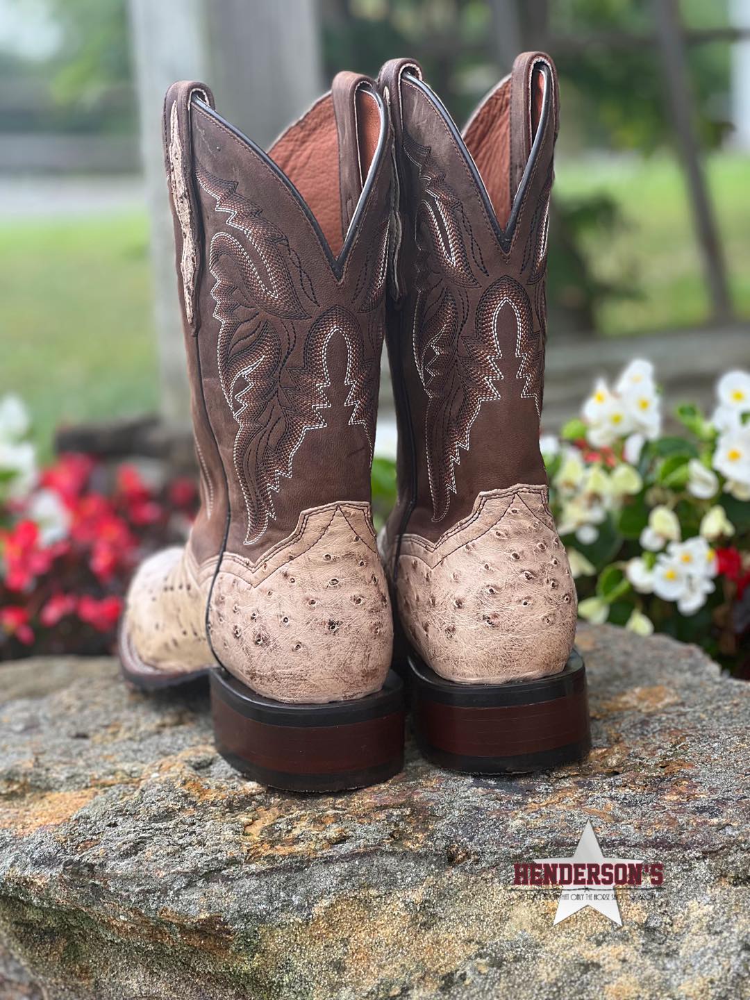 Alamosa Boots by Dan Post - Henderson's Western Store