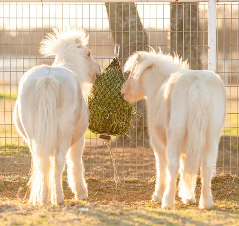 Hay Chix Hay Bags