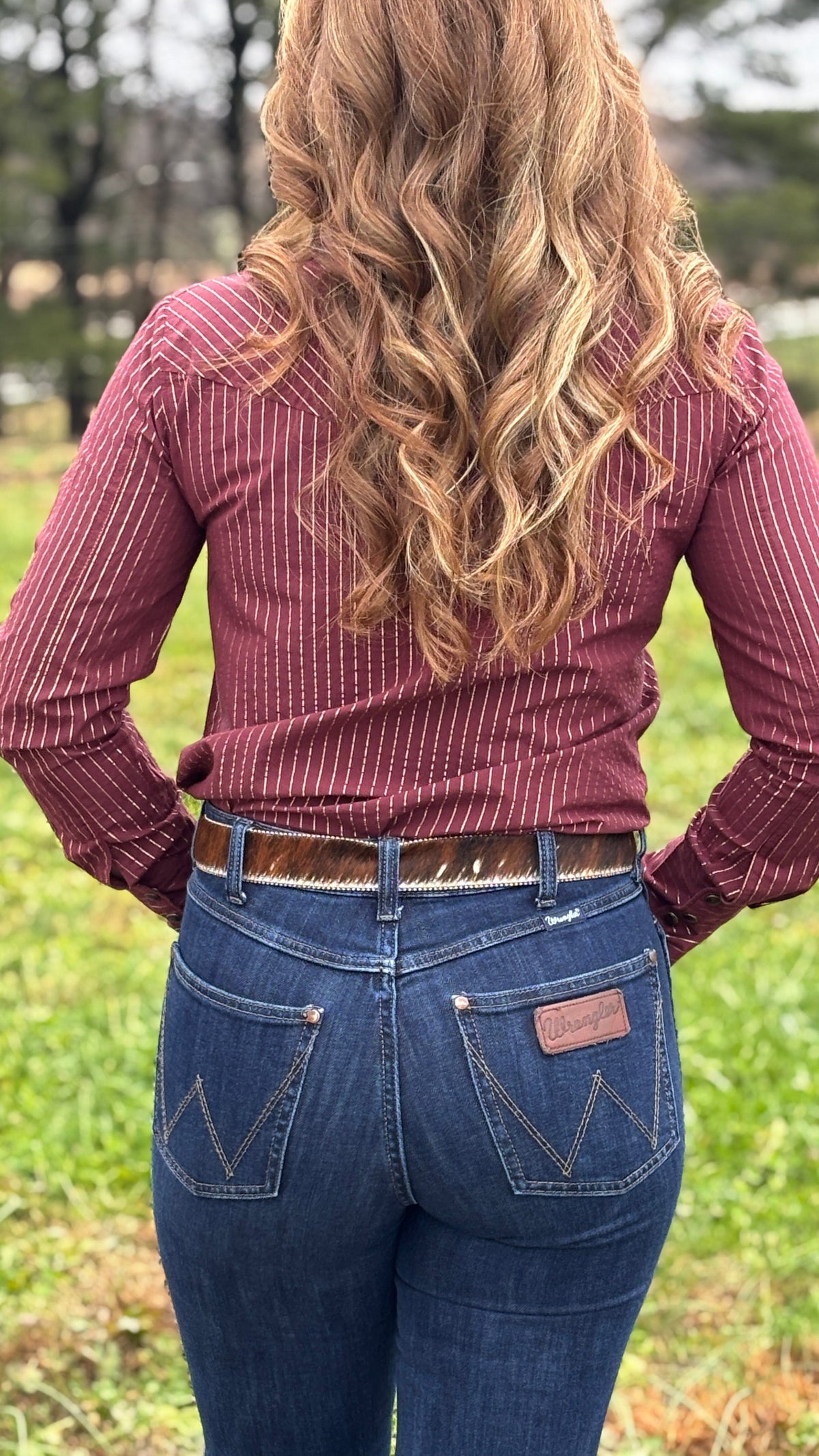 Cinch Women's Tops