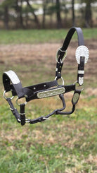 Shiloh Show Halters