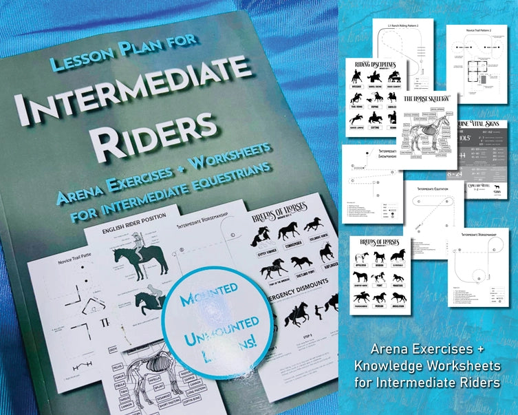Intermediate Rider Lesson Plan - Henderson's Western Store