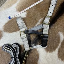 Load image into Gallery viewer, Mini Foal Nylon Halters - Henderson&#39;s Western Store