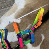 Load image into Gallery viewer, Mini Foal Nylon Halters - Henderson&#39;s Western Store