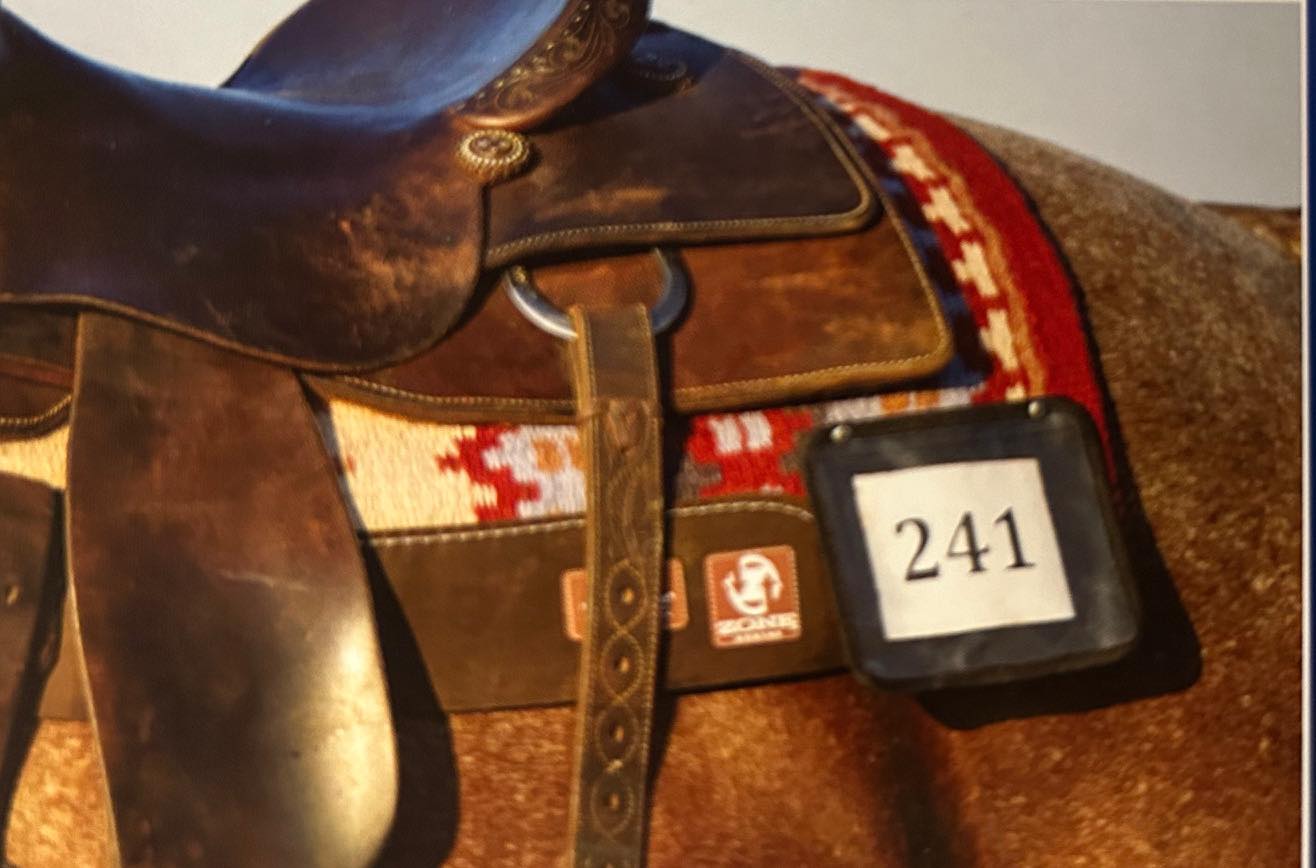 Classic Equine tack