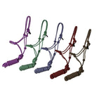 Shiloh halters
