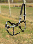 Dark Leather Show Halter ~ Floral Engraved - Henderson's Western Store