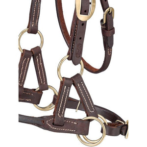Load image into Gallery viewer, Tough1 Harness Leather Rolled Side Pull - Henderson&#39;s Western Store
