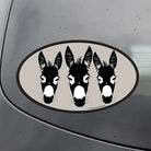 Western Sticker ~  Donkeys - Henderson's Western Store