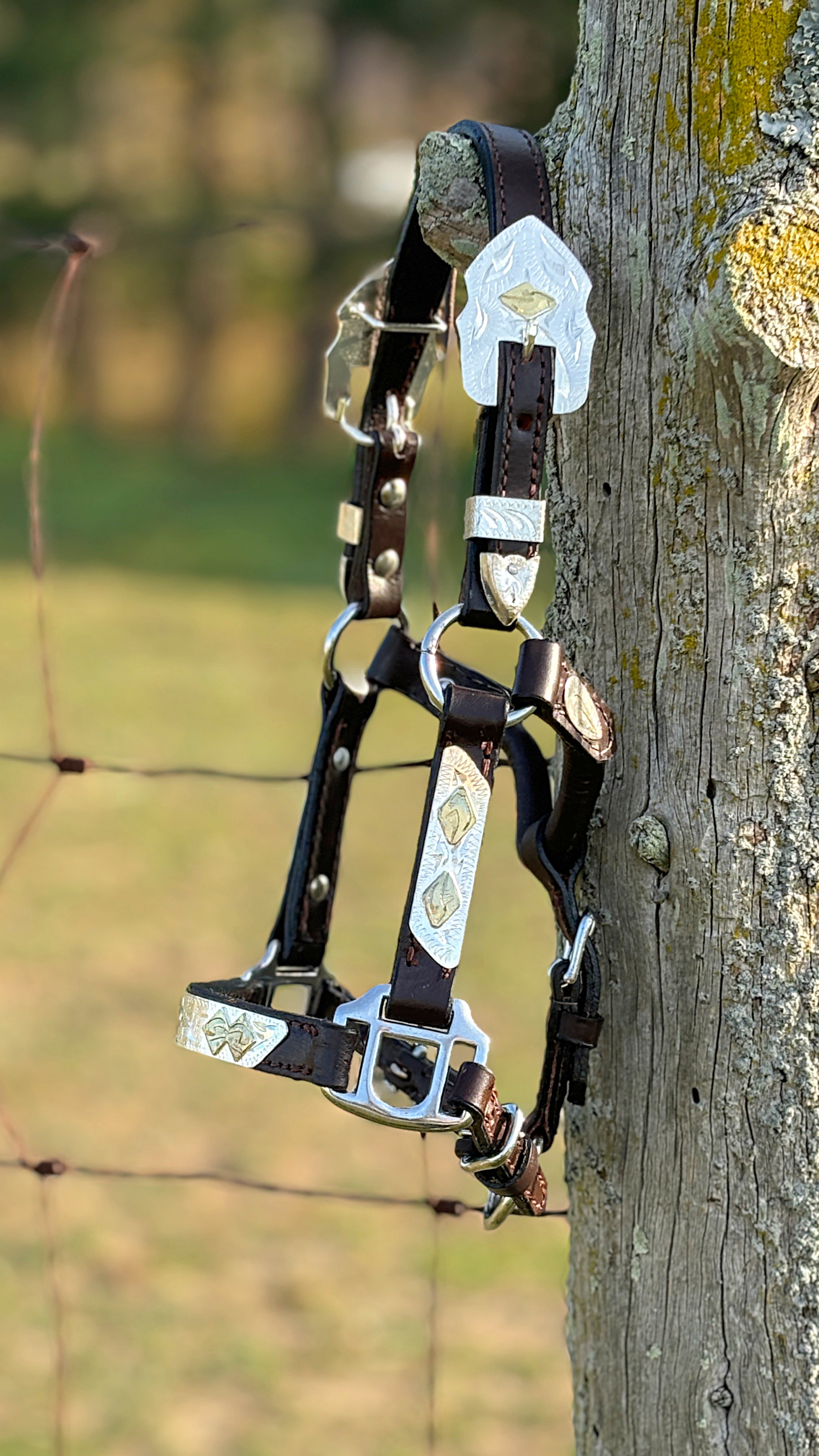 Show Halter ~ Gold Diamond ~ Mini - Henderson's Western Store