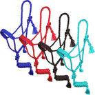 Mule Tape Halter - Henderson's Western Store