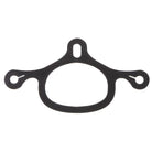JT International Spur Strap