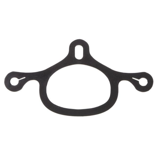 JT International Spur Strap