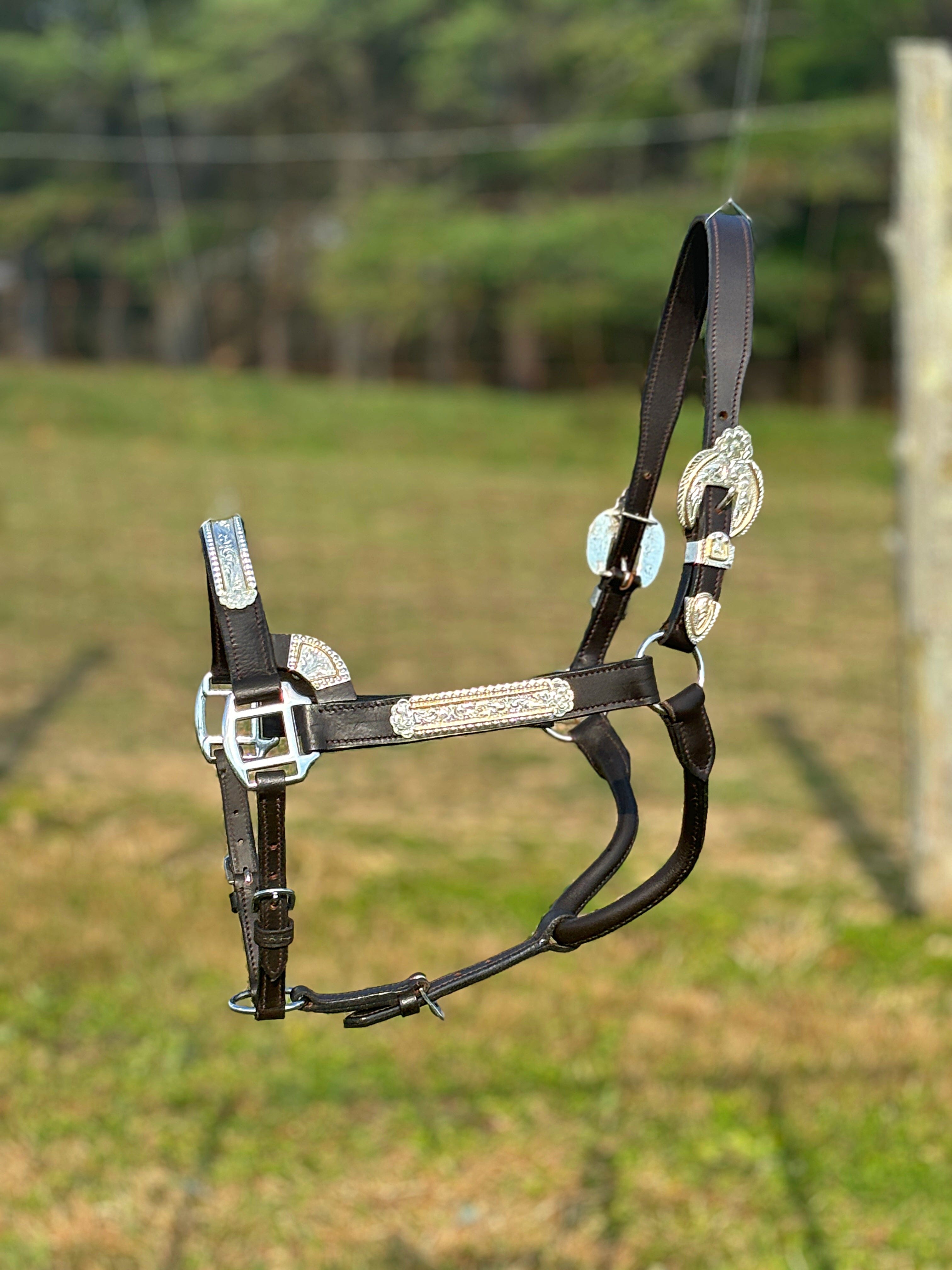 Shiloh Show Halters