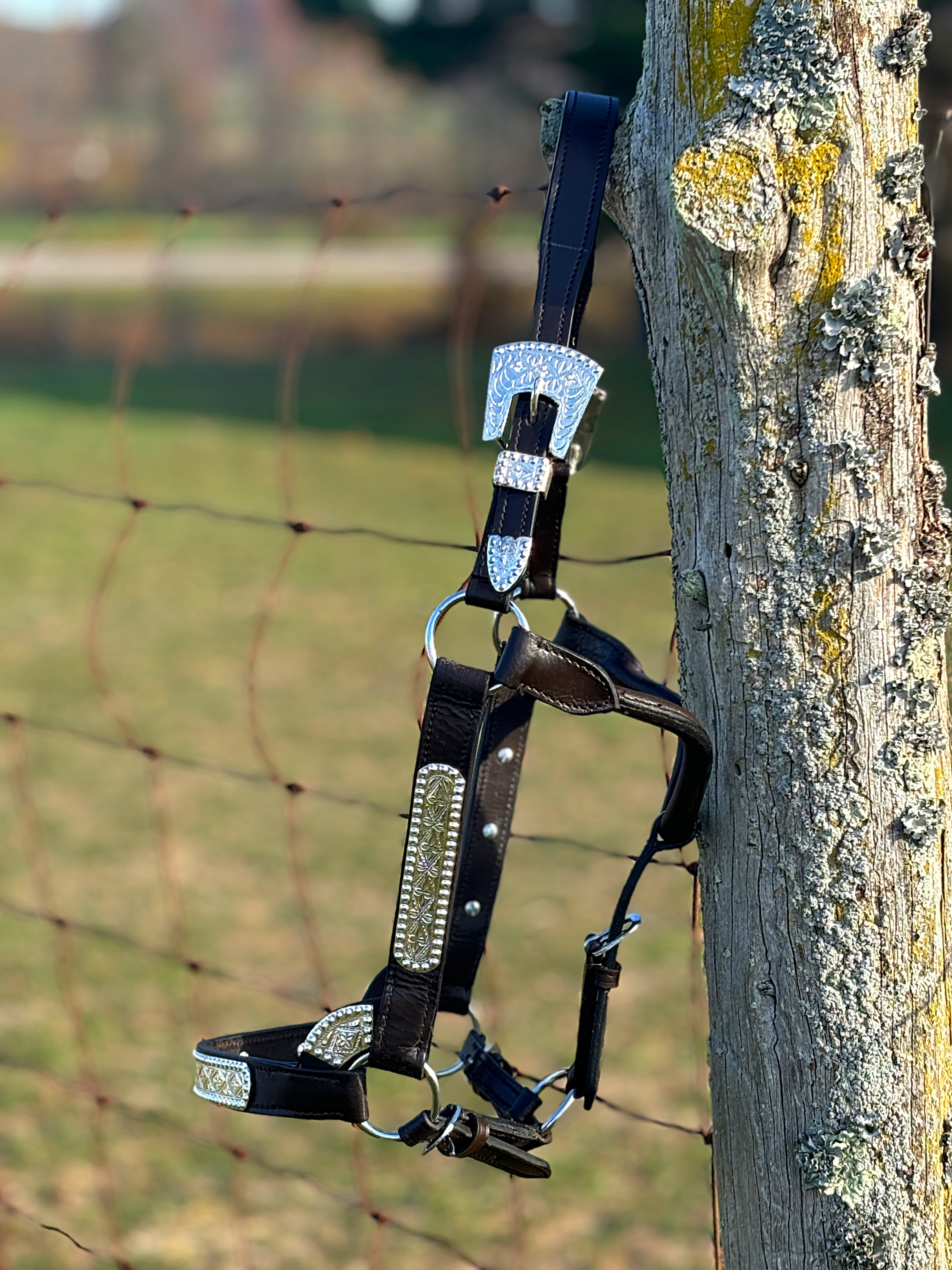 Dark Leather Show Halter ~ Sliver Bar - Henderson's Western Store