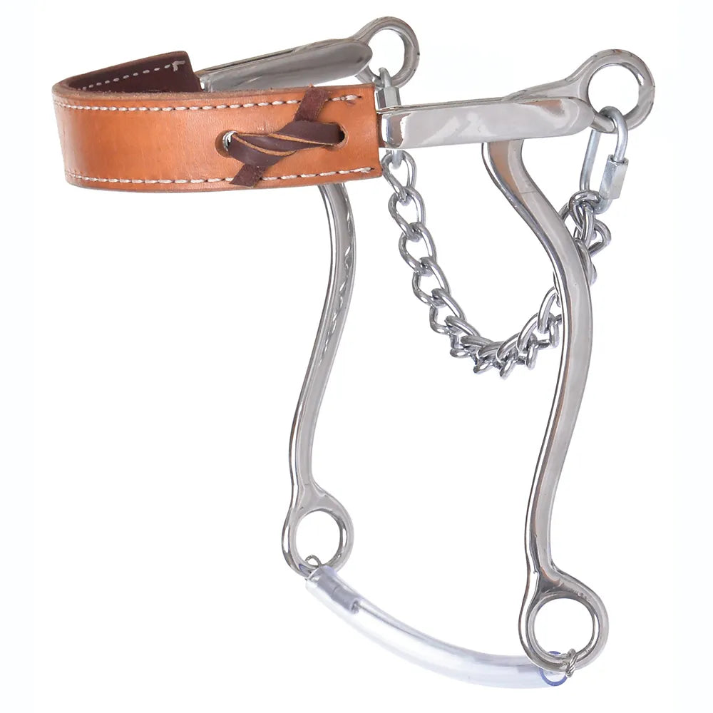 The Essential Guide for Using a Hackamore The Essential Guide for Using a Hackamore