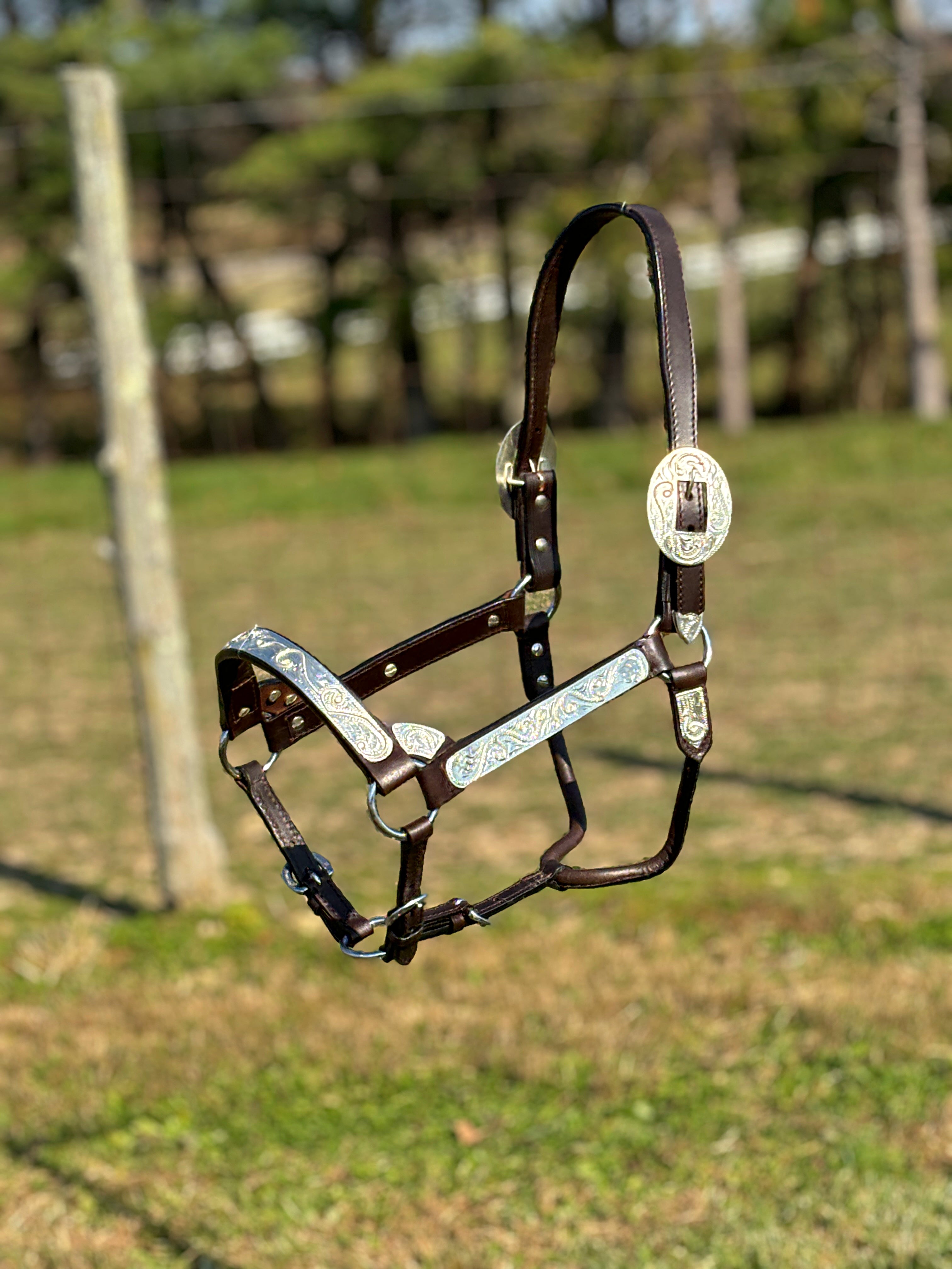 Royal King Show Halter ~ Silver Scroll - Henderson's Western Store