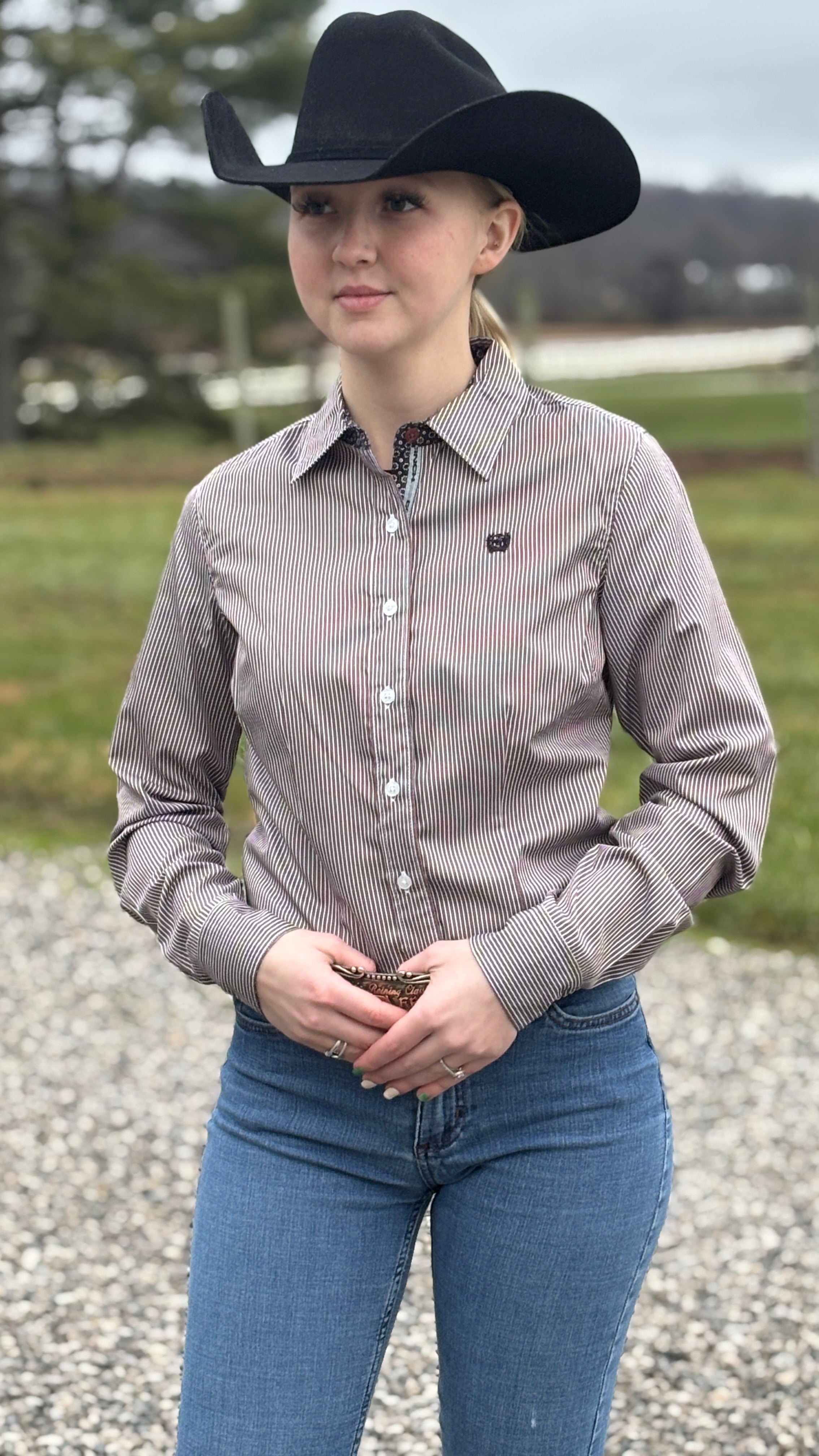 Ladies Striped Cinch  ~ Navy/Brown - Henderson's Western Store