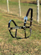 Show Halter W/Gold Stars ~ Full Size Horse - Henderson's Western Store