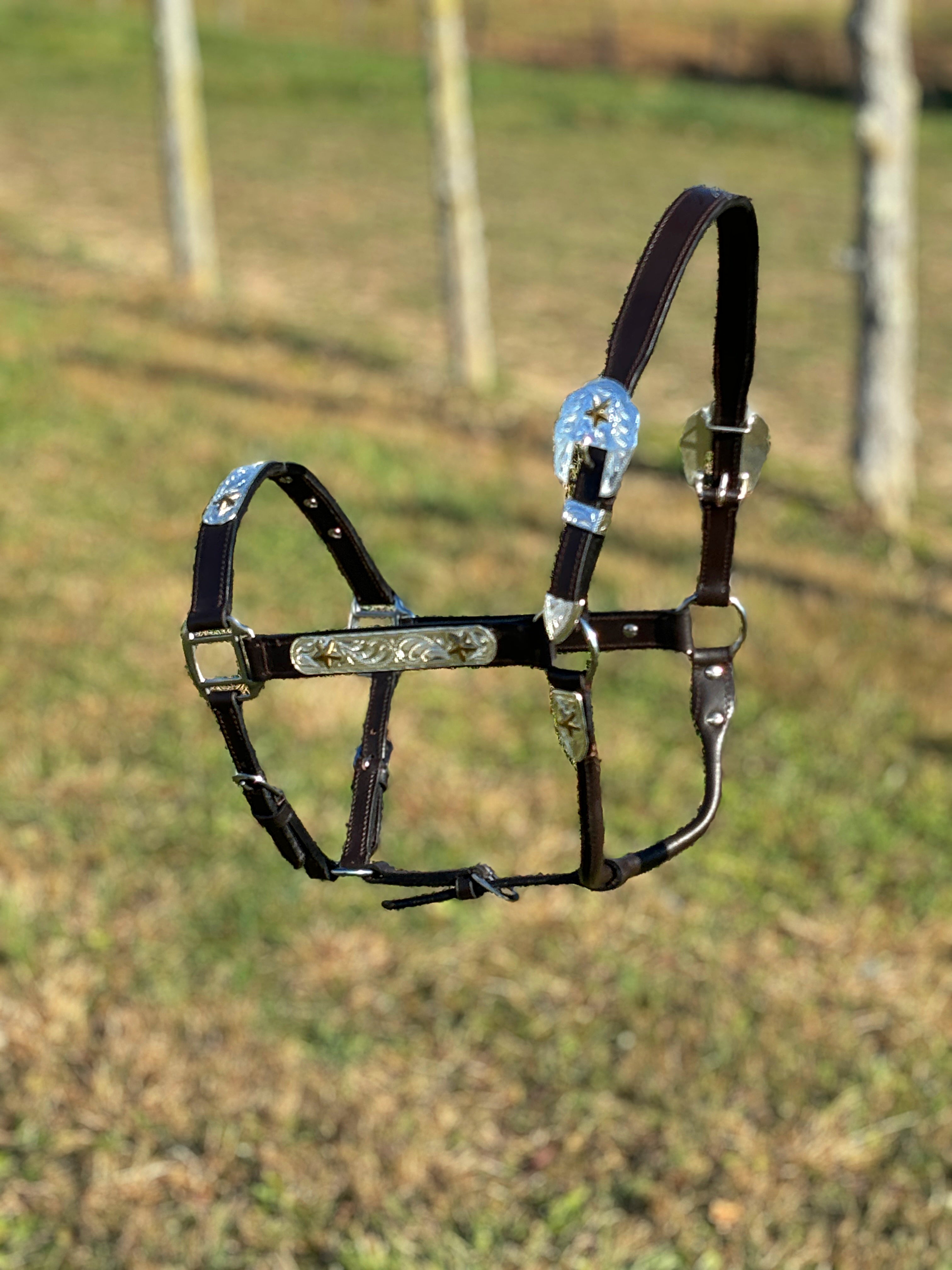 Show Halter W/Gold Stars ~ Full Size Horse - Henderson's Western Store