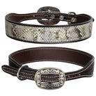 Dog Collar ~ Luxe Viper - Henderson's Western Store