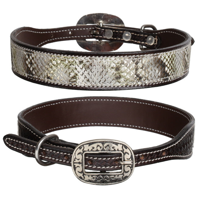 Dog Collar ~ Luxe Viper - Henderson's Western Store