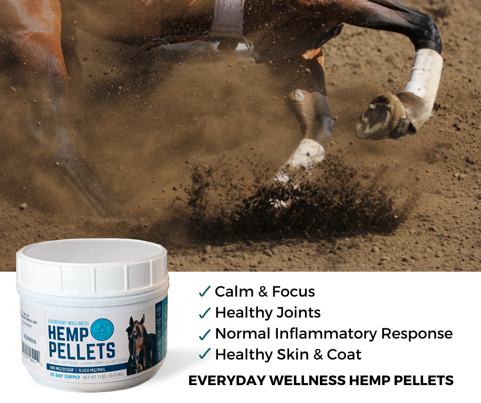 Healing Cowgirl ~ Hemp Pellets - Henderson's Western Store