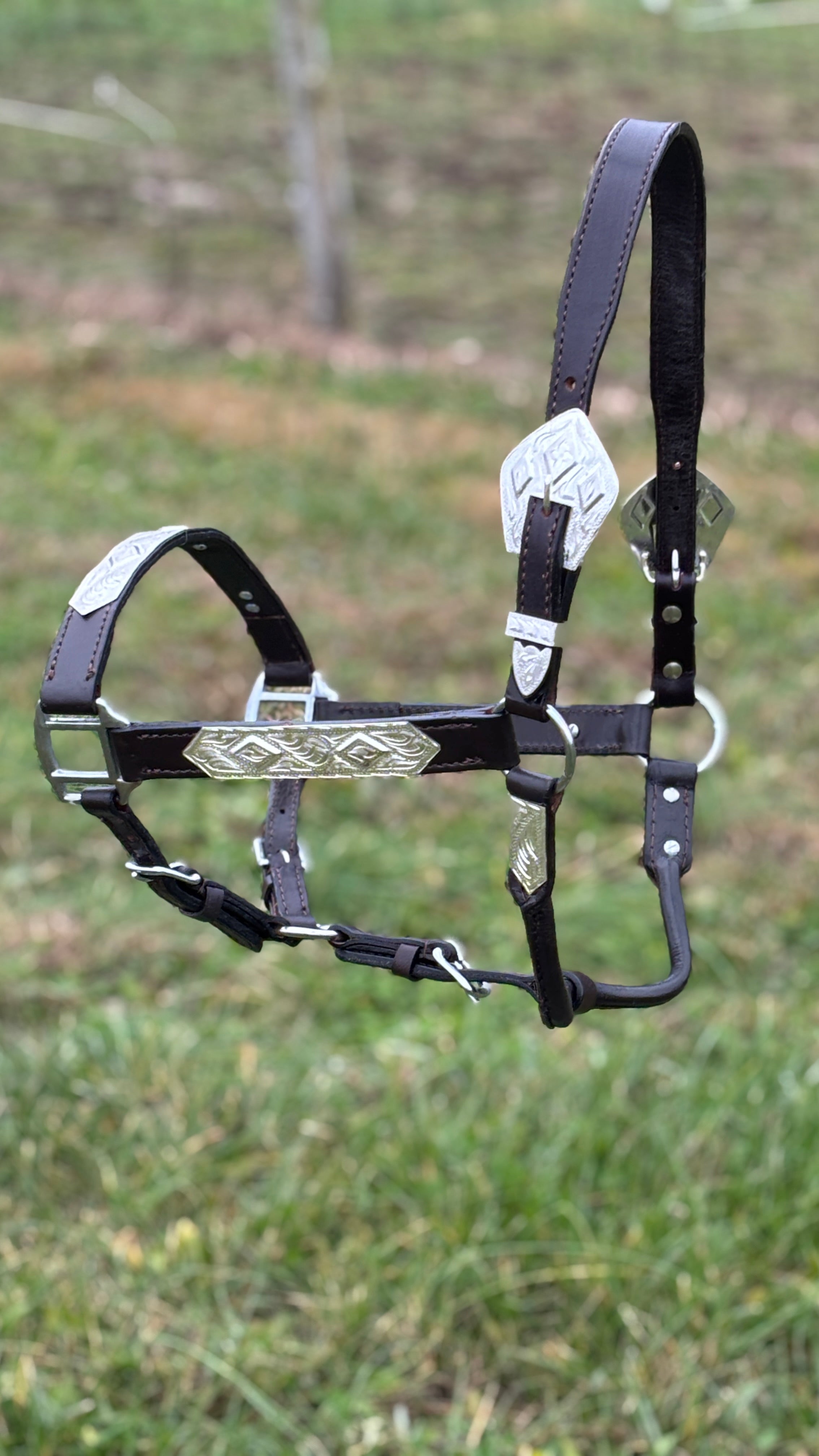 Dark Leather Show Halter  ~ Horse - Henderson's Western Store