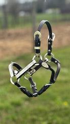 Royal King Silver Show Halter ~ Lg Mini - Henderson's Western Store