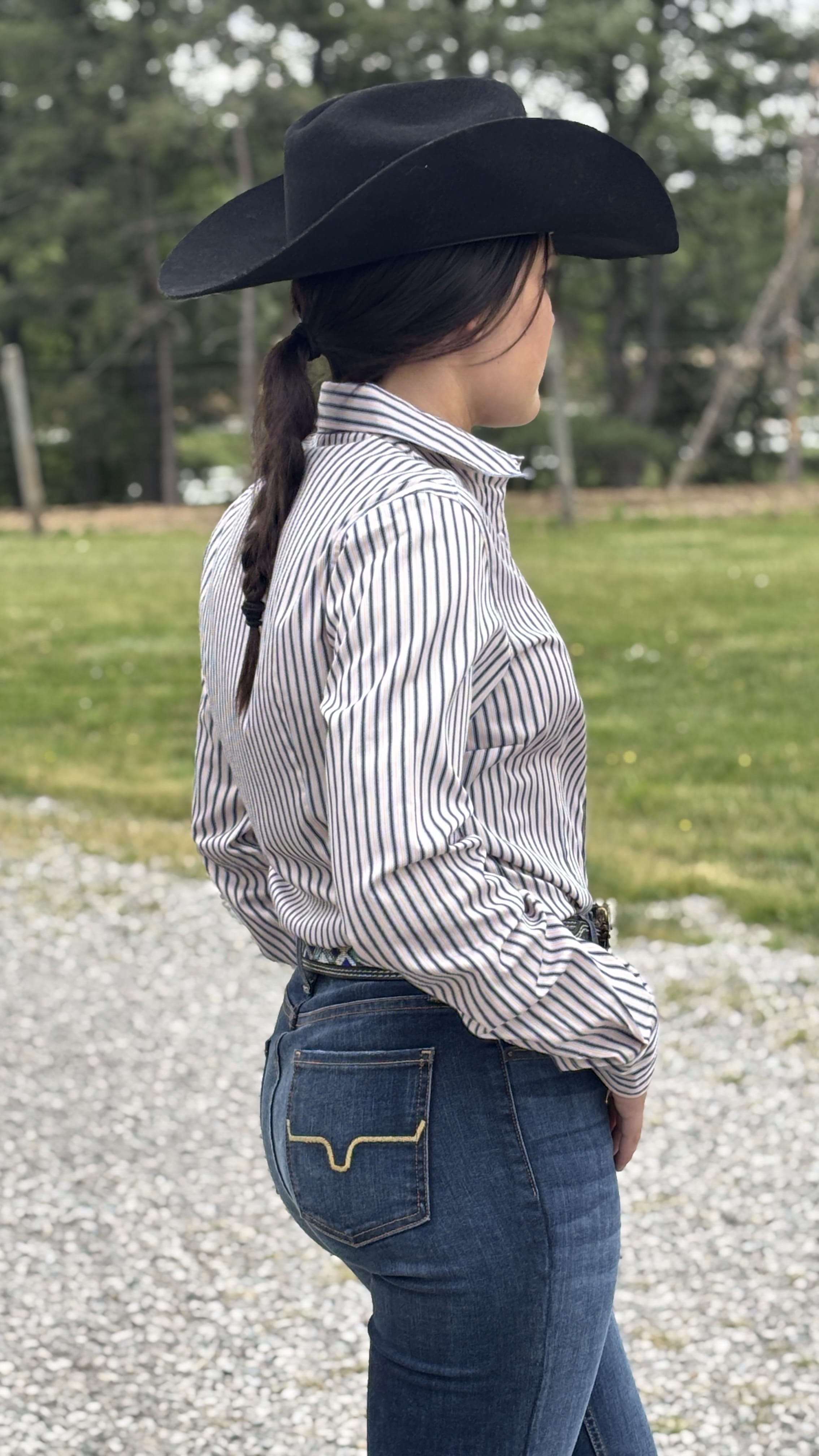 Ladies Cinch Stripe - Henderson's Western Store