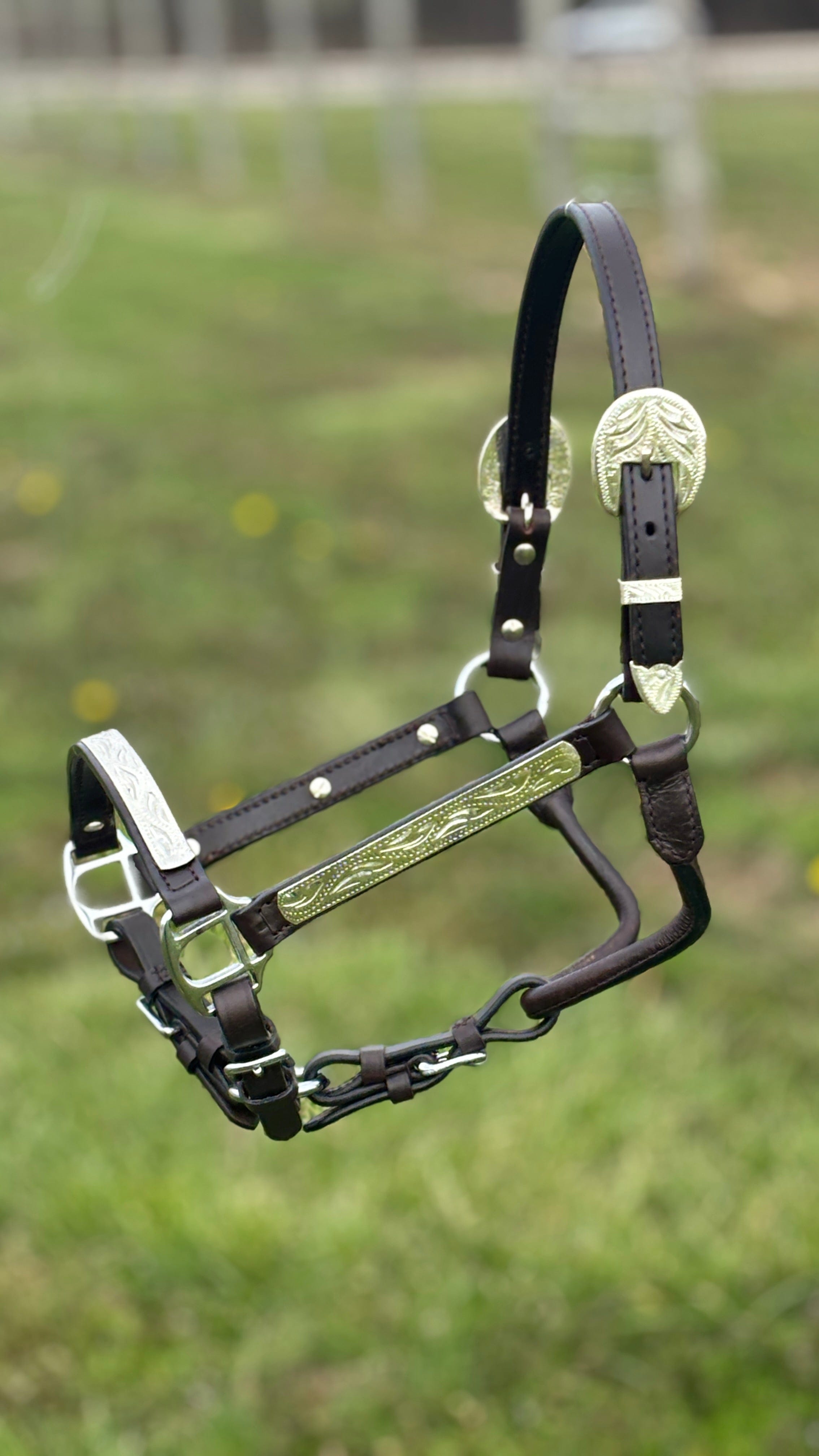 Royal King Silver Bar Show Halter ~ Pony - Henderson's Western Store