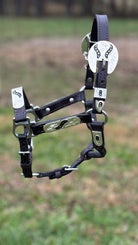 Show Halter ~ Black Inlay ~ Mini - Henderson's Western Store
