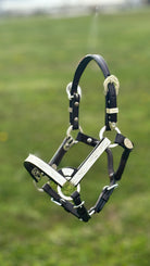 Royal King Silver Show Halter ~ Lg Mini - Henderson's Western Store