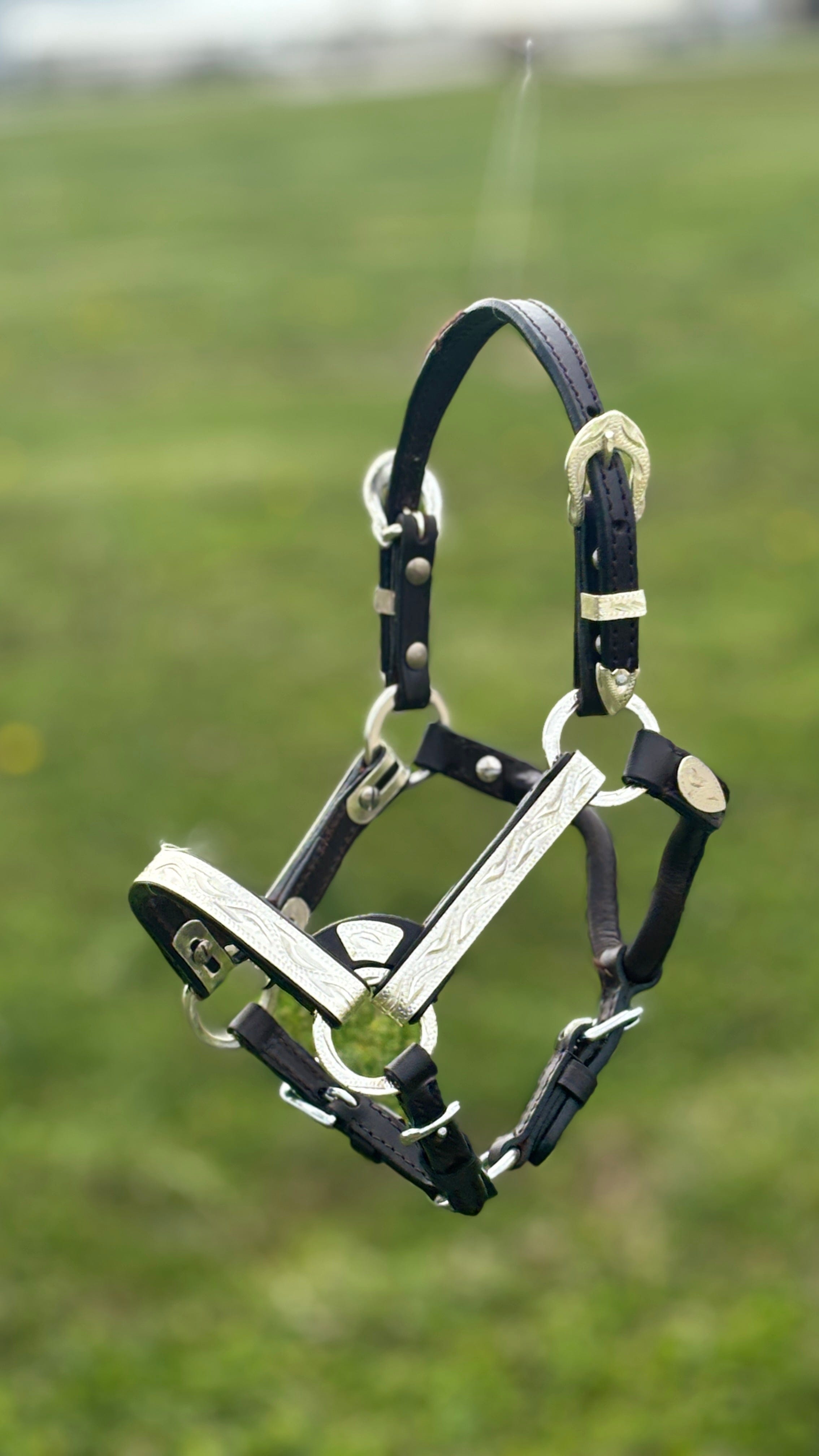 Royal King Silver Show Halter ~ Lg Mini - Henderson's Western Store