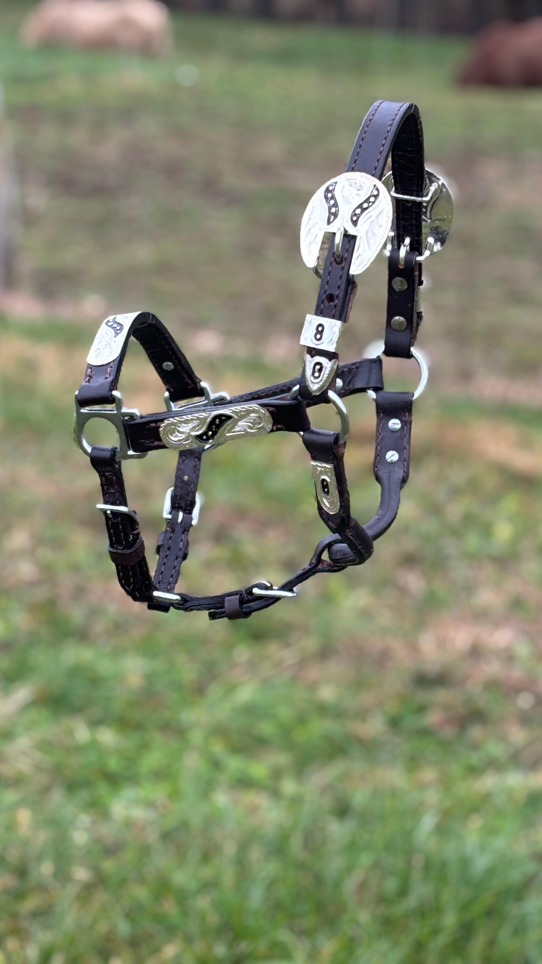 Show Halter ~ Black Inlay ~ Mini - Henderson's Western Store