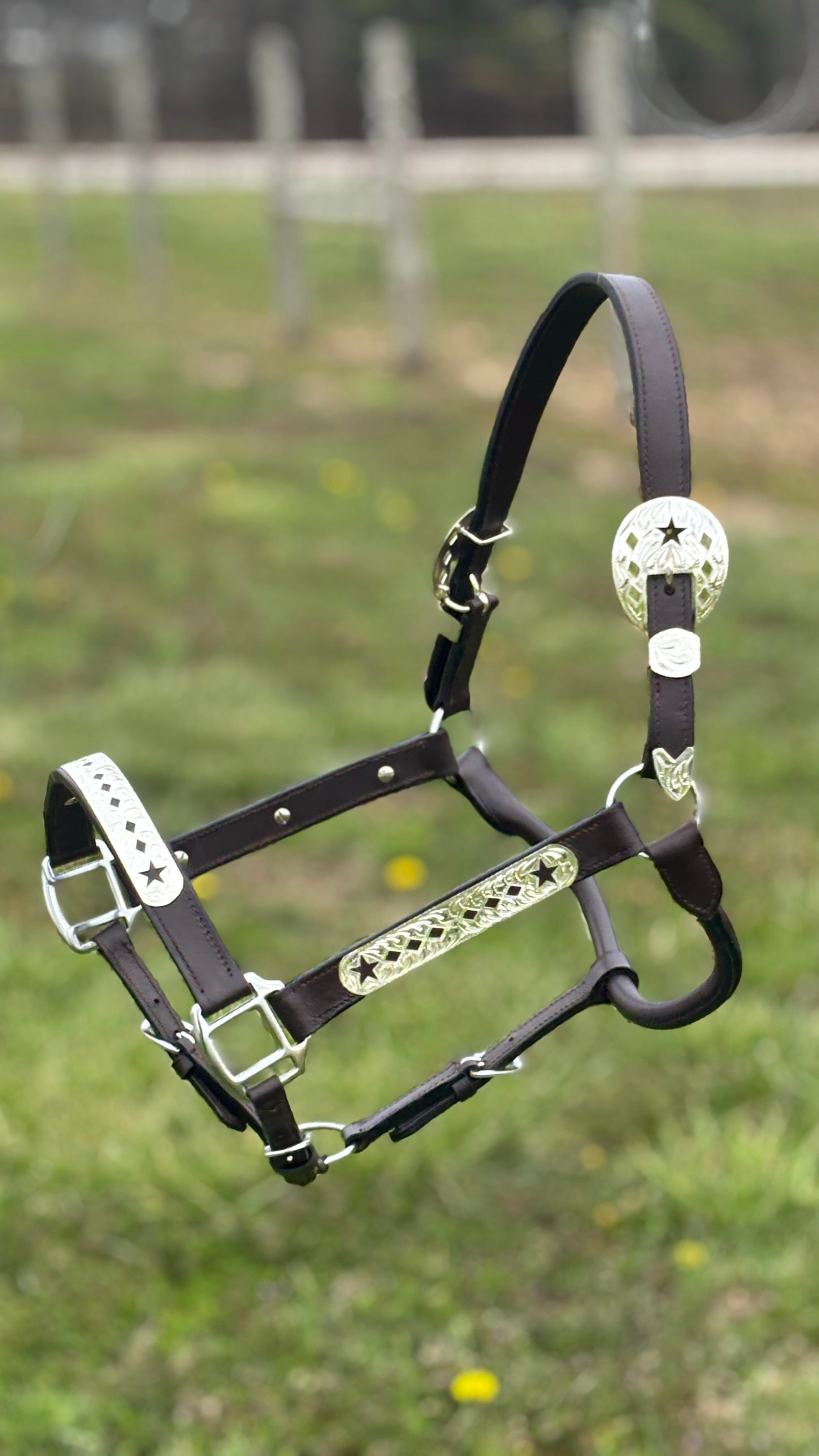 Leather Show Halter ~  Diamonds & Stars - Henderson's Western Store