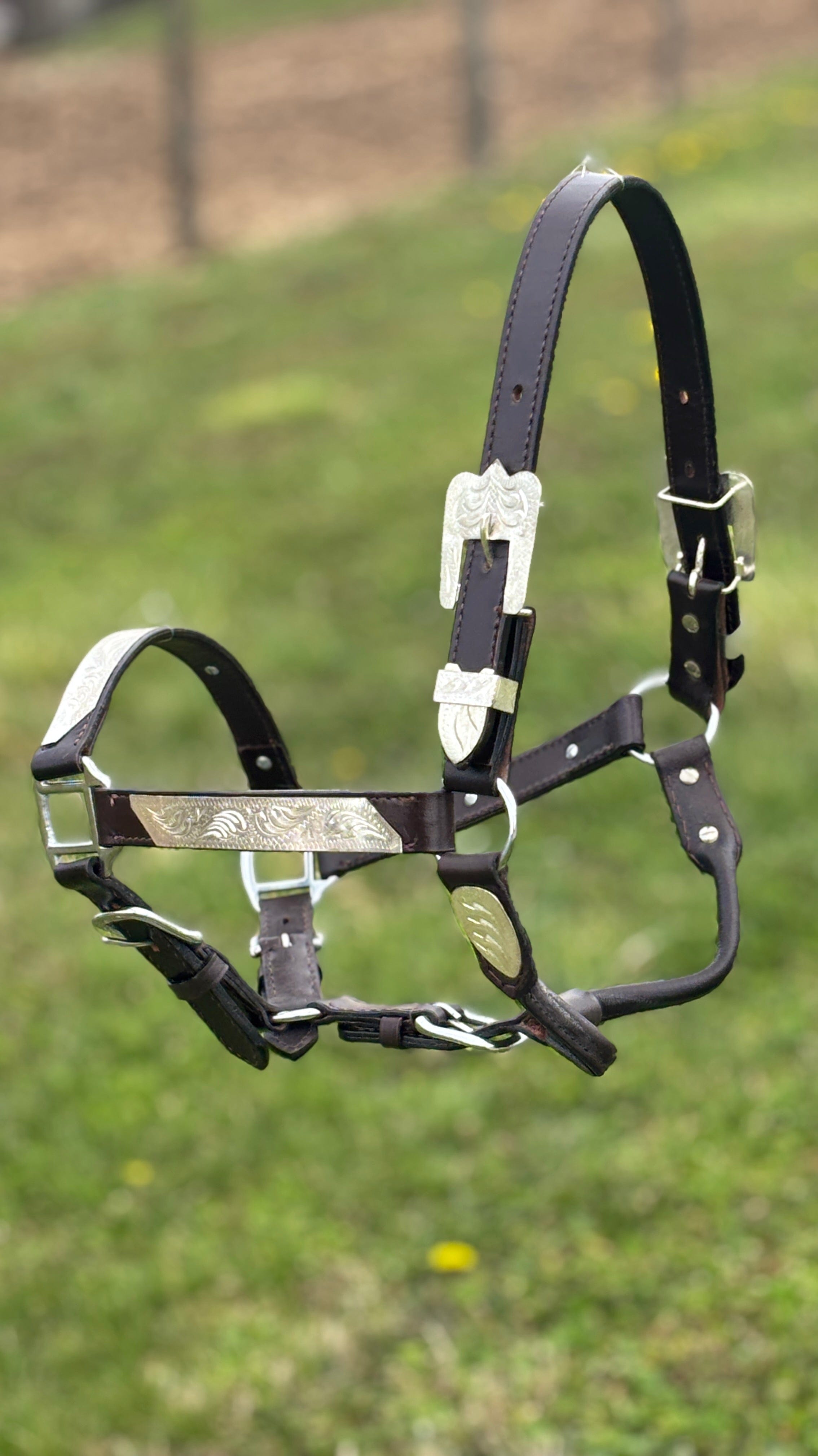 Leather Show Halter ~ Silver Bar - Henderson's Western Store
