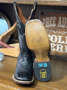 Dan Post Women's Boots