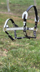 Show Halter  ~ Silver Engraved - Henderson's Western Store