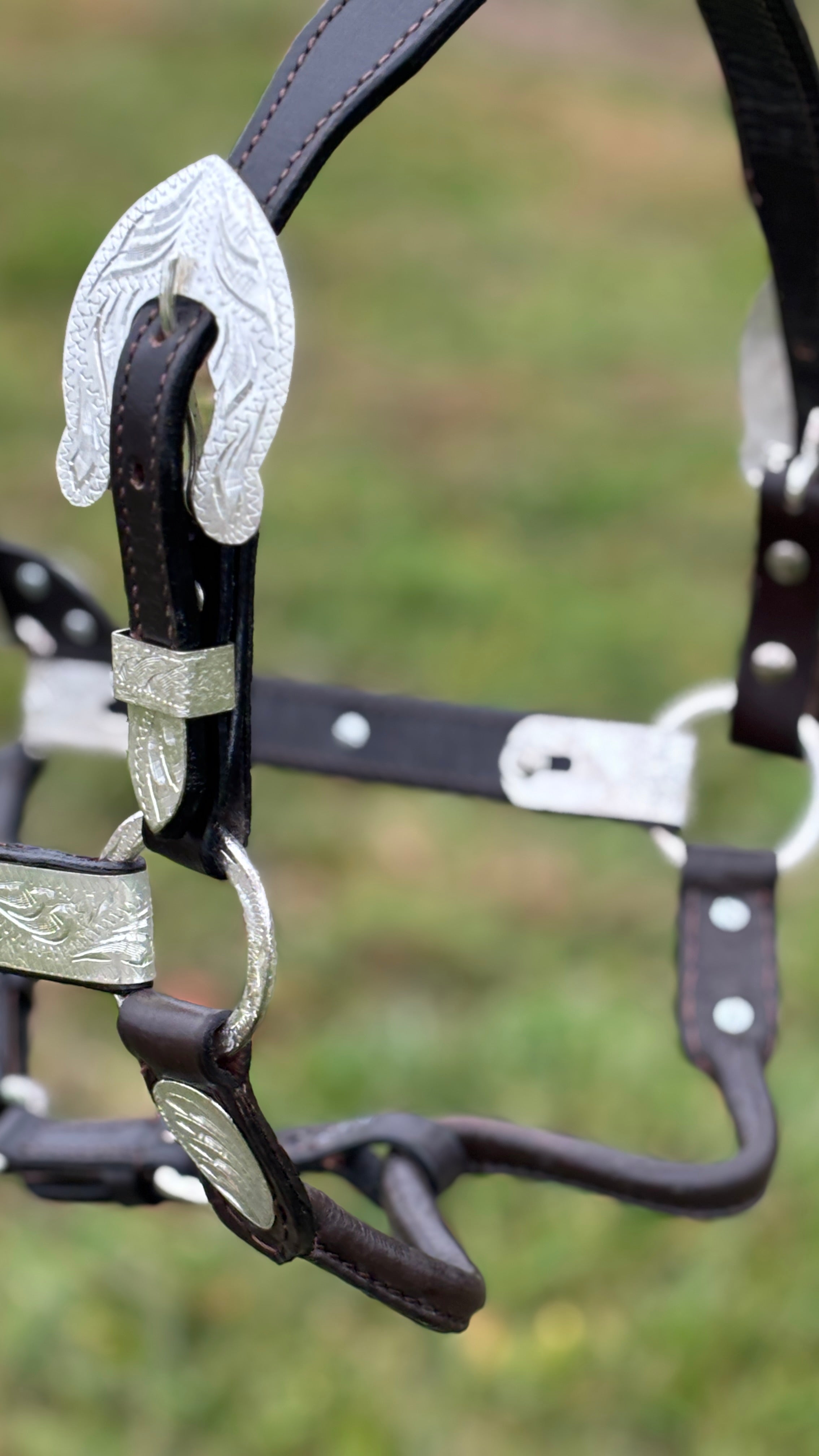 Show Halter  ~ Silver Engraved - Henderson's Western Store