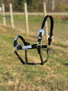 Dark Leather Show Halter ~ Silver Bar - Henderson's Western Store