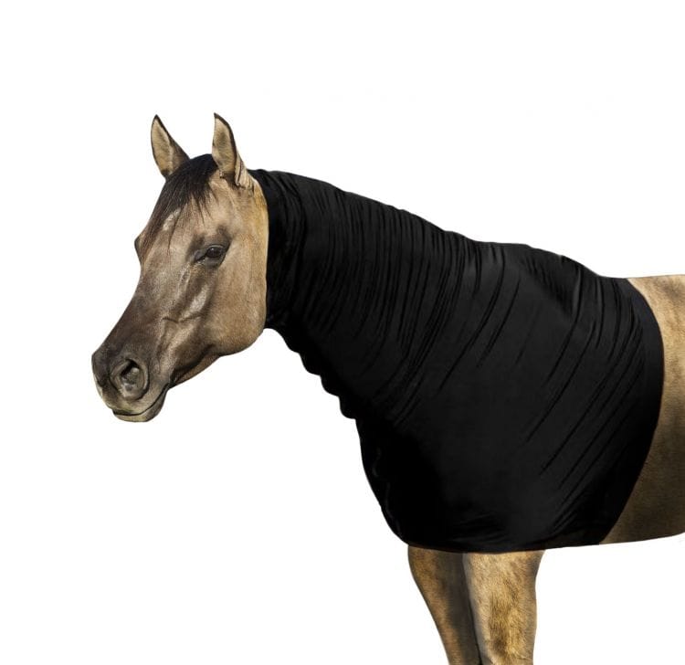 Shiloh Tack