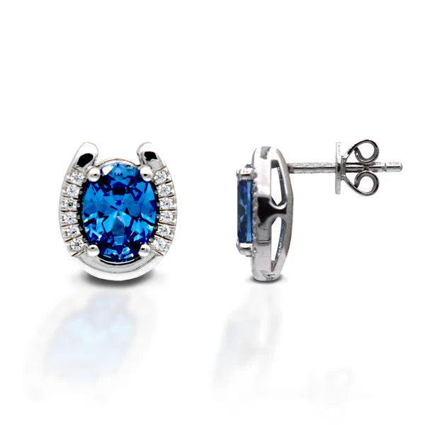 Kelly Herd Blue Stone Horseshoe Earrings - Henderson's Western Store