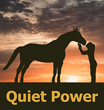Performance Quiet Power - Henderson's Western Store