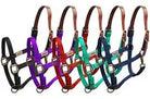 Nylon Breakaway Halters ~ Pony - Henderson's Western Store