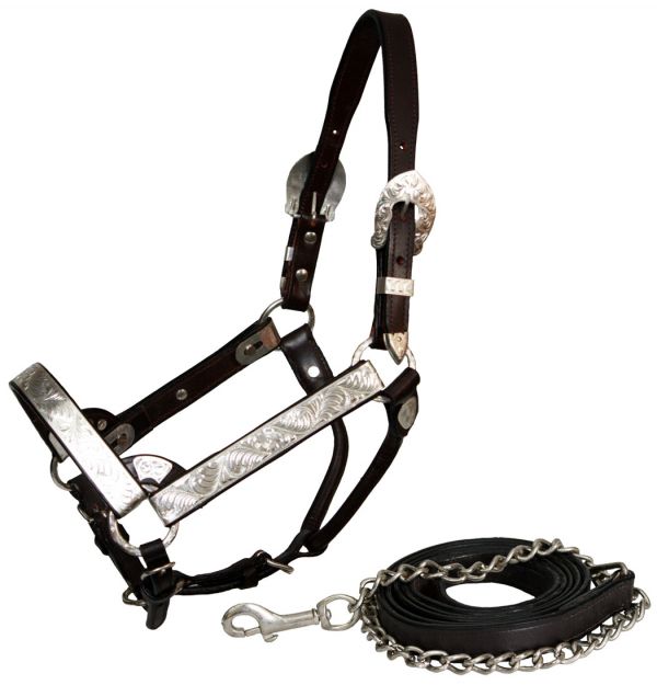 Engraved Silver Show Halter ~ Horse - Henderson's Western Store