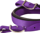 Mustang Reins